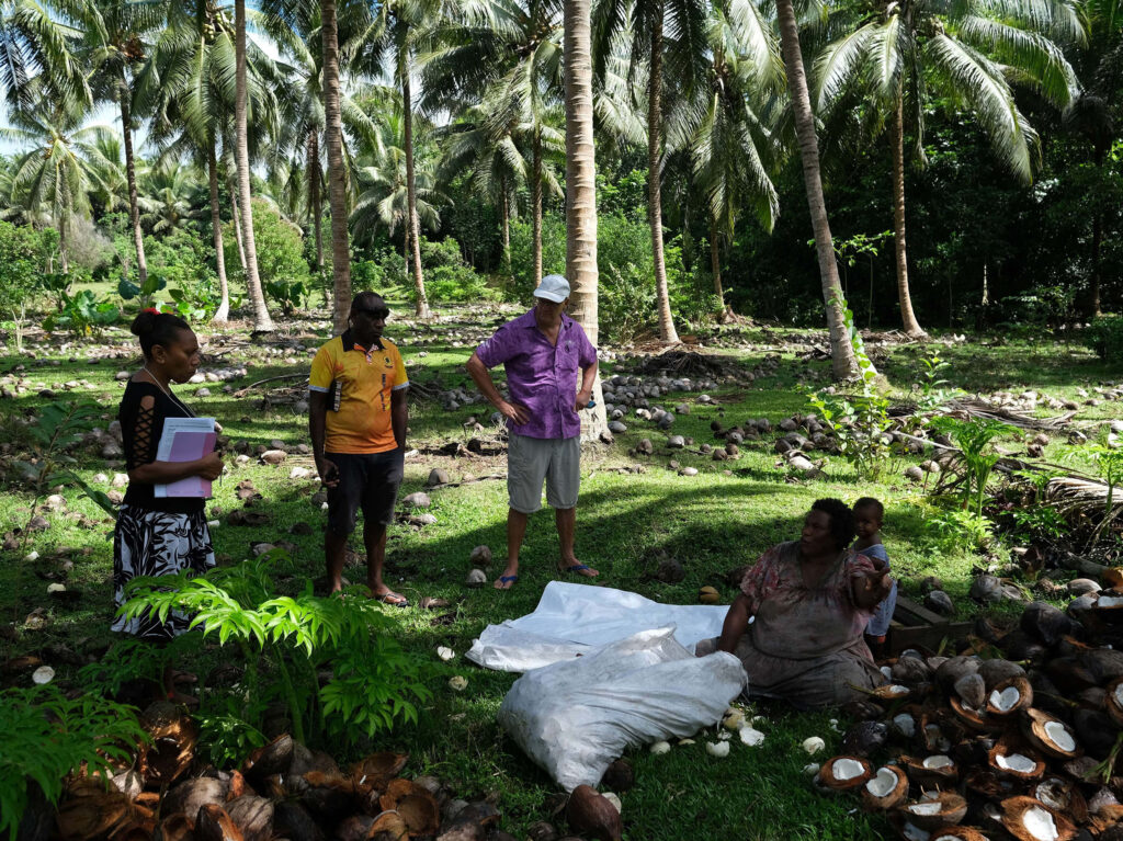 Internal auditing coconut grower