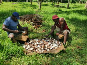 Organic Food Systems